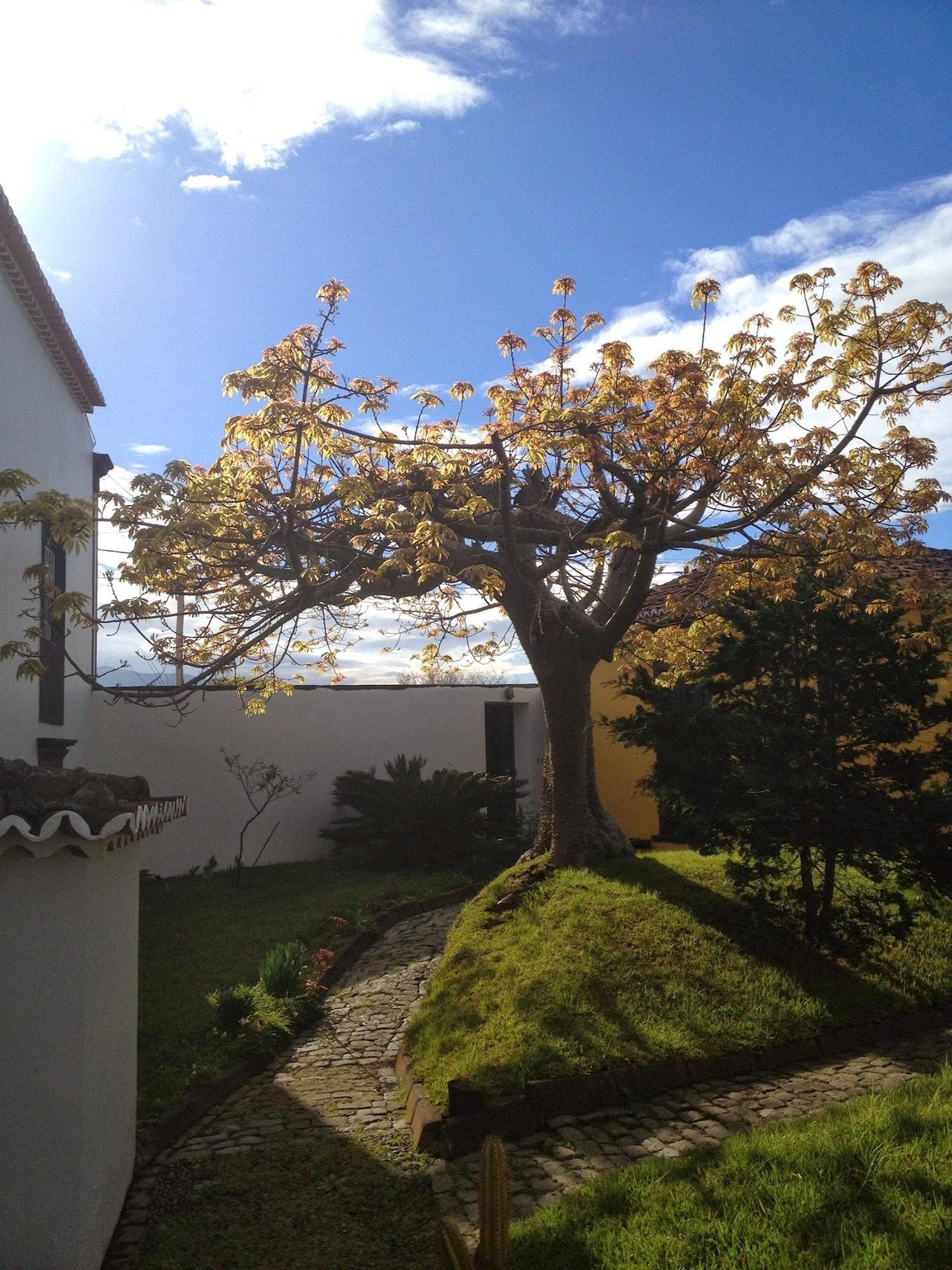 Casa Das Calhetas - Turismo De Habitacao Exterior foto